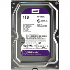 HDD 3.5" 1TB Western Digital Purple (WD10PURZ) IntelliPower, для систем наблюдения