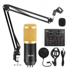Микрофон Конденсаторный студийный BM-800 профессиональный (MF55) со звуковой картой